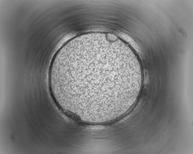 X0000116571282201001071147