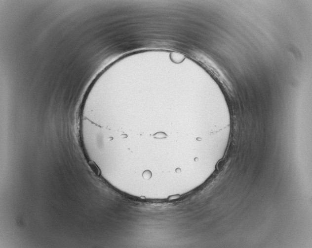 X0000116571284201001071147