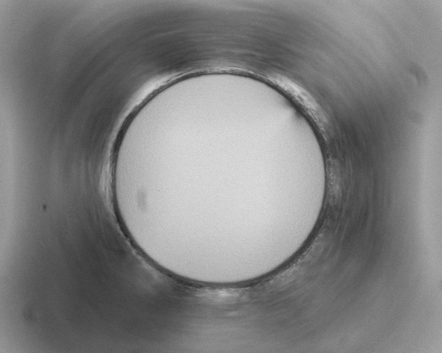 X0000116571286201001071147