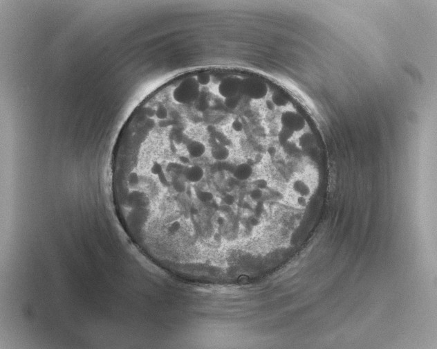 X0000116571287201001071147