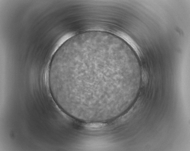 X0000116571290201001071147