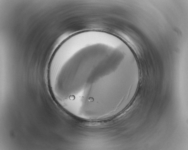 X0000116571291201001071147