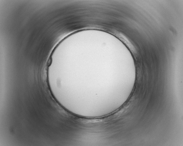 X0000116571292201001071147