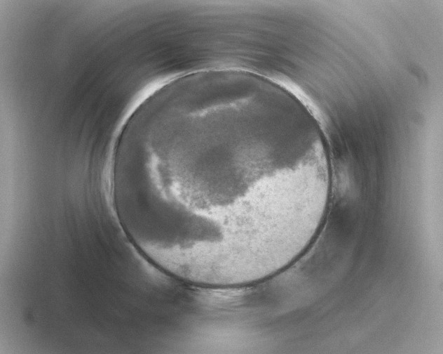 X0000116571294201001071147