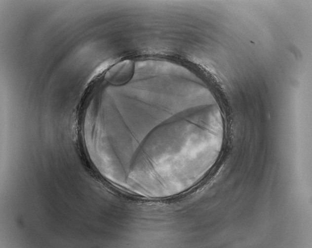 X0000116571306201001071147