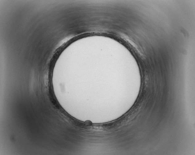 X0000116571315201001071147