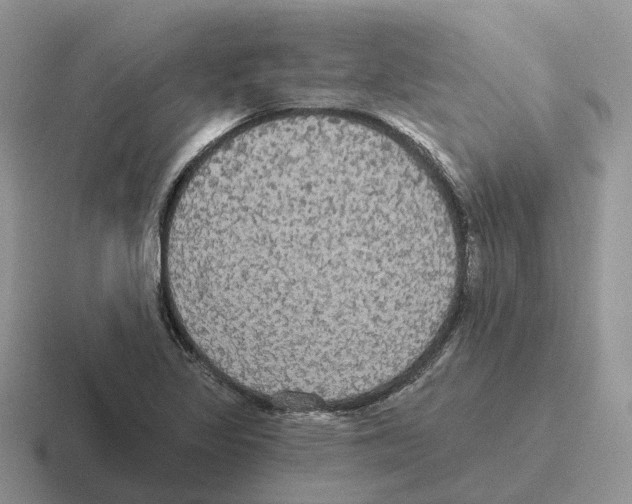 X0000116571317201001071147