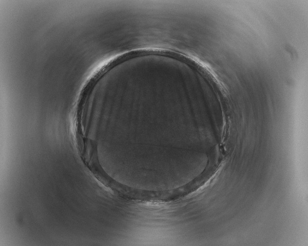 X0000116571319201001071147