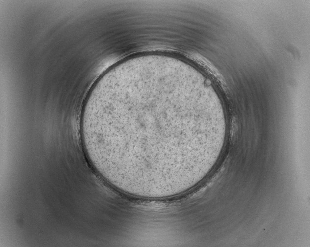 X0000116571321201001071147