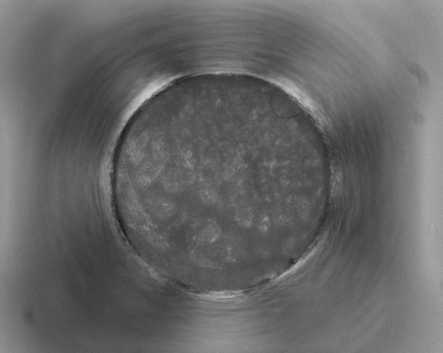 X0000116571325201001071147