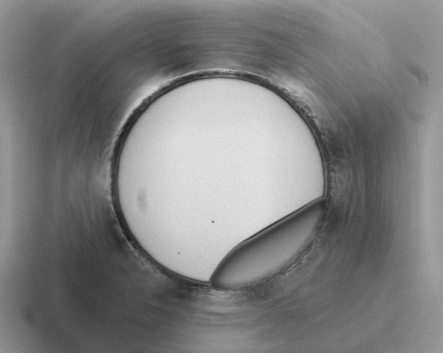 X0000116571326201001071147