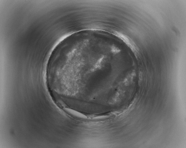 X0000116571331201001071147