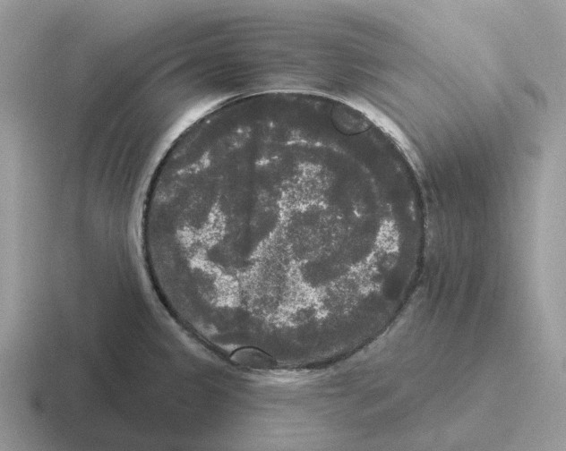 X0000116571333201001071147