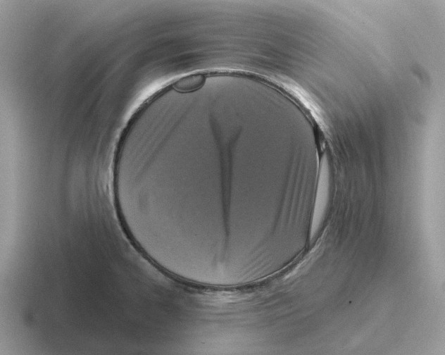 X0000116571334201001071147