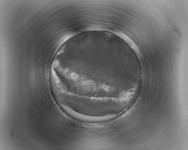 X0000116571337201001071147