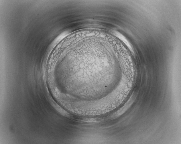 X0000116571338201001071147