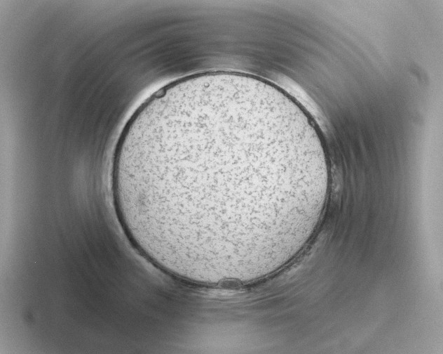 X0000116571339201001071147