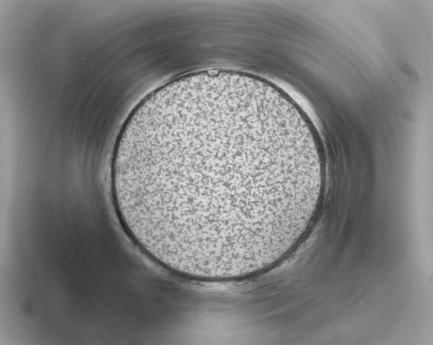 X0000116571341201001071147