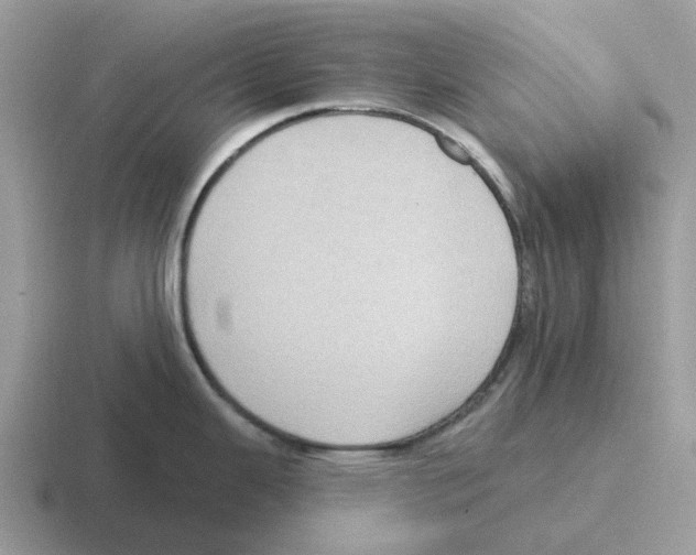 X0000116571343201001071147