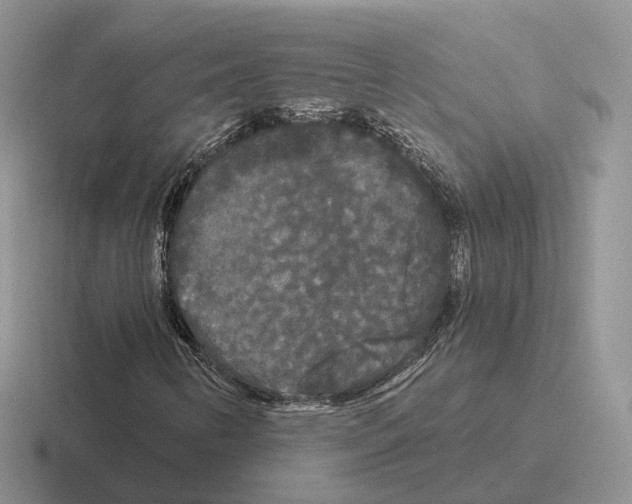 X0000116571346201001071147