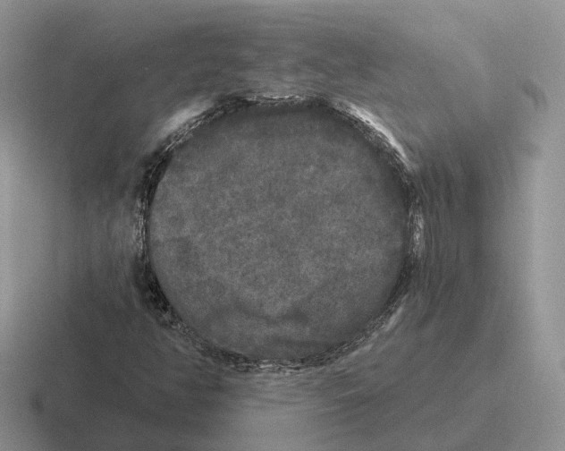 X0000116571350201001071147