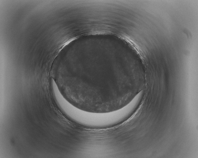 X0000116571353201001071146