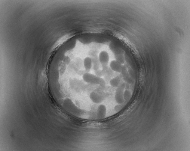 X0000116571354201001071146