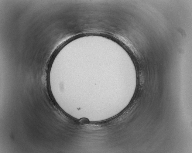 X0000116571356201001071146