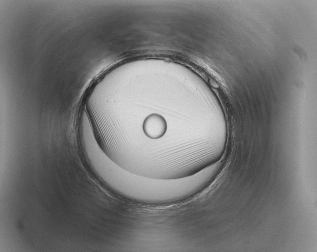 X0000116571357201001071146