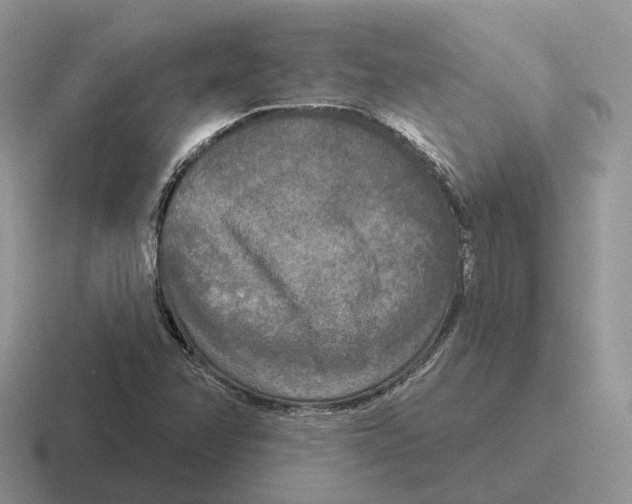 X0000116571358201001071146