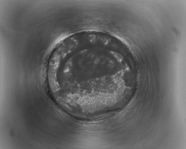 X0000116571359201001071146