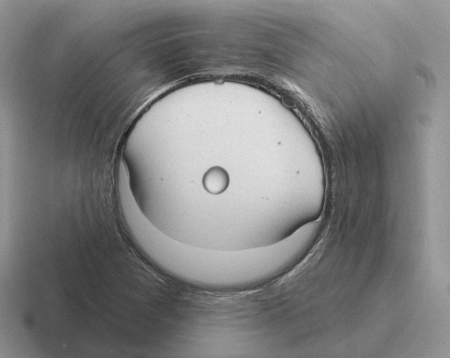 X0000116571361201001071146