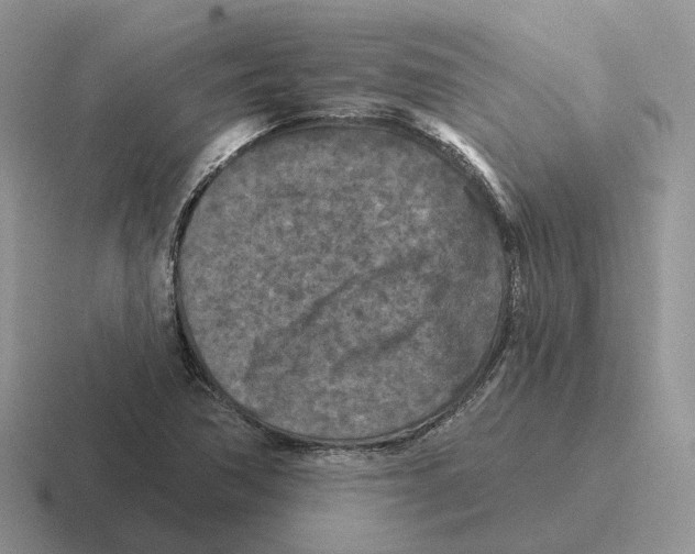 X0000116571362201001071146