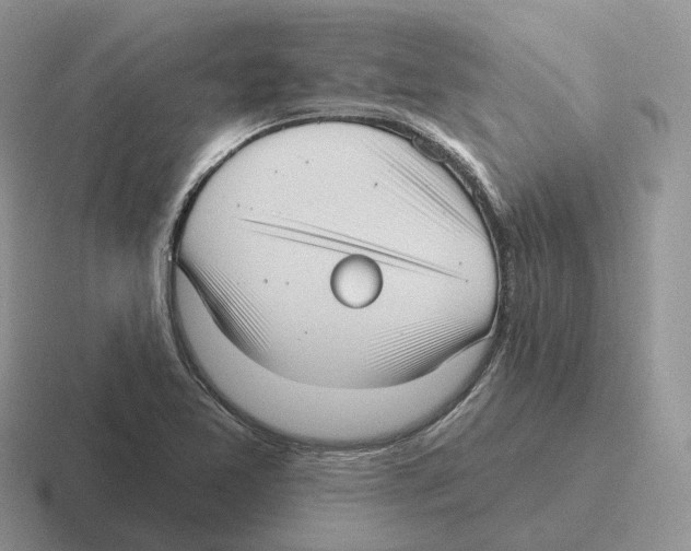 X0000116571365201001071146