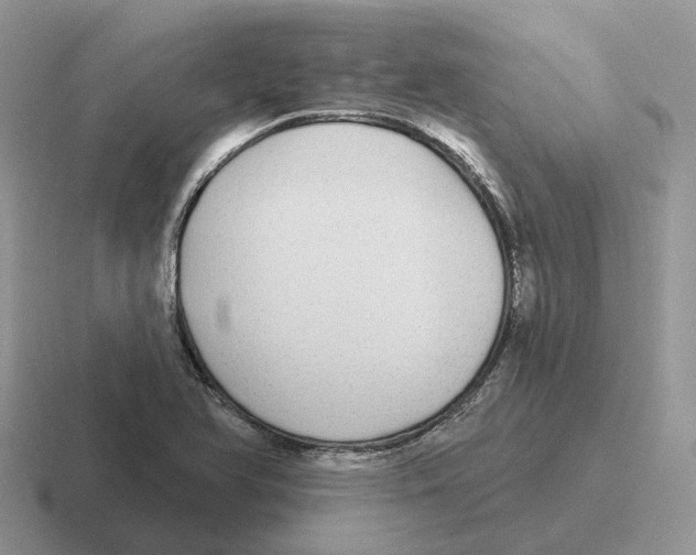 X0000116571366201001071146