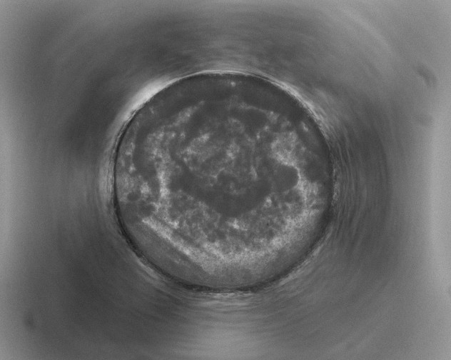 X0000116571367201001071146