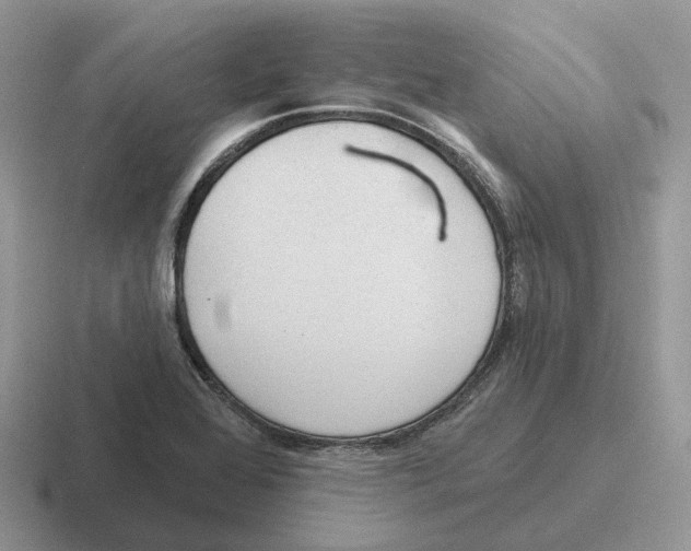 X0000116571368201001071146