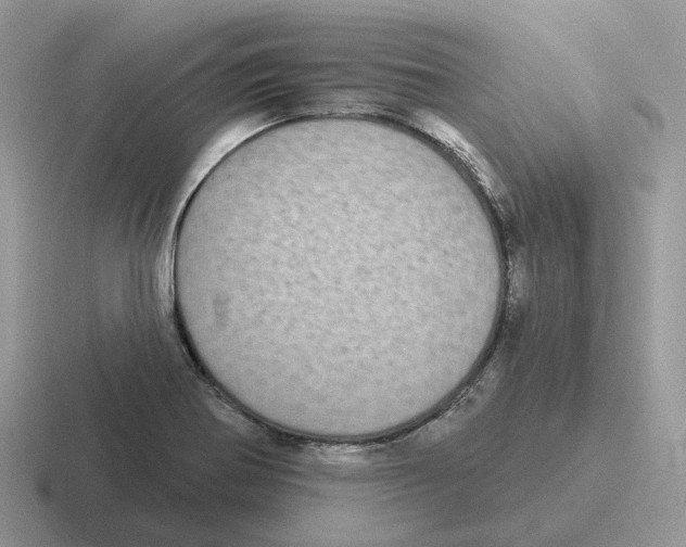 X0000116571370201001071146