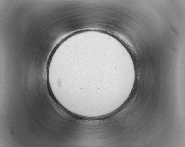 X0000116571372201001071146