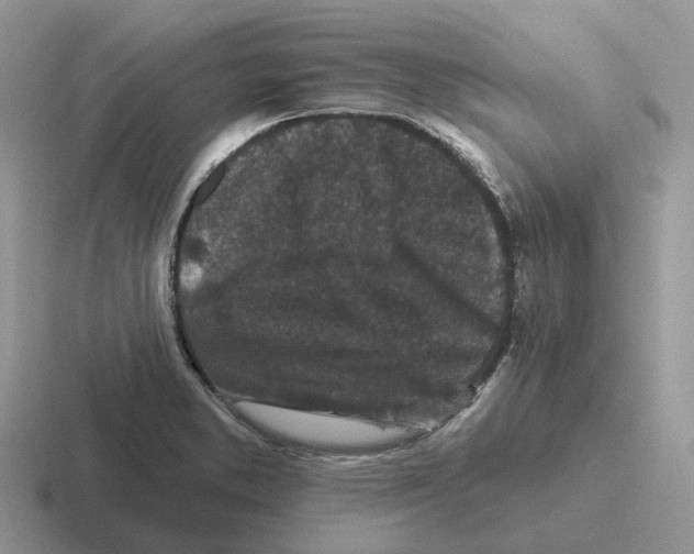 X0000116571373201001071146