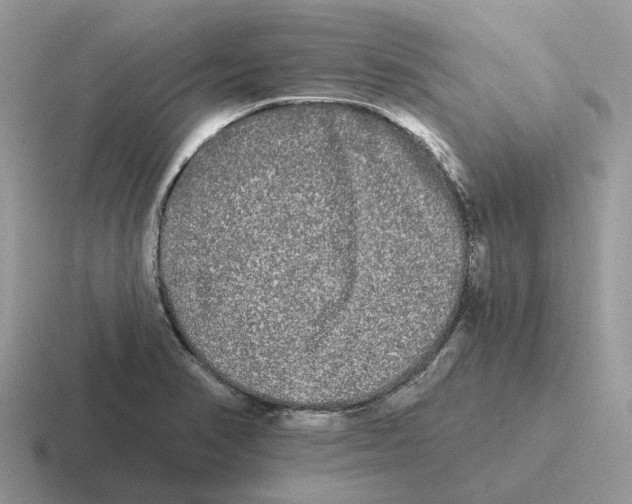 X0000116571374201001071146