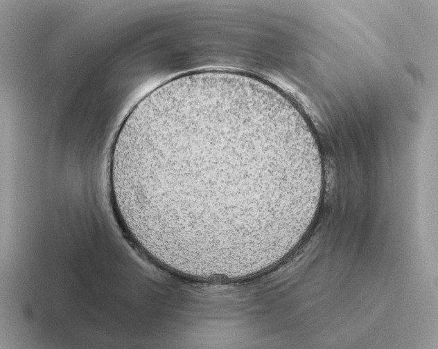 X0000116571375201001071146