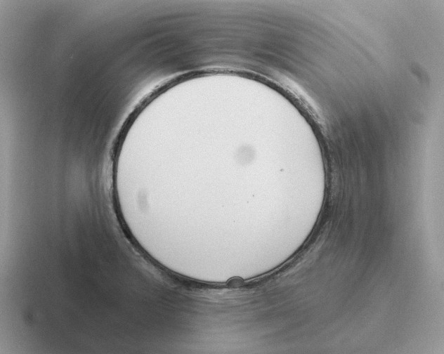 X0000116571376201001071146