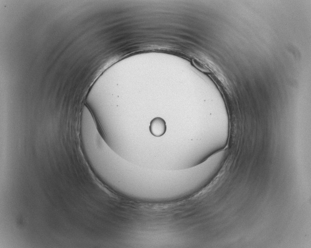 X0000116571377201001071146