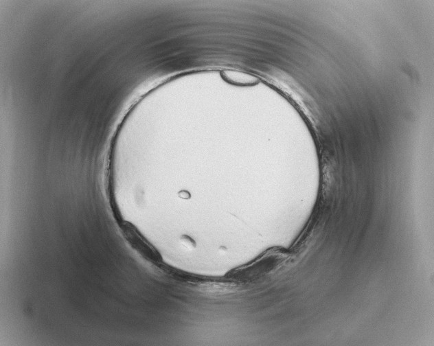 X0000116571379201001071146