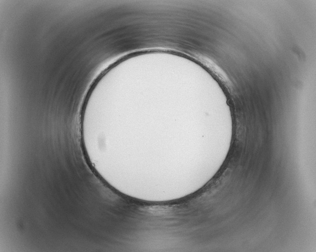 X0000116571380201001071146