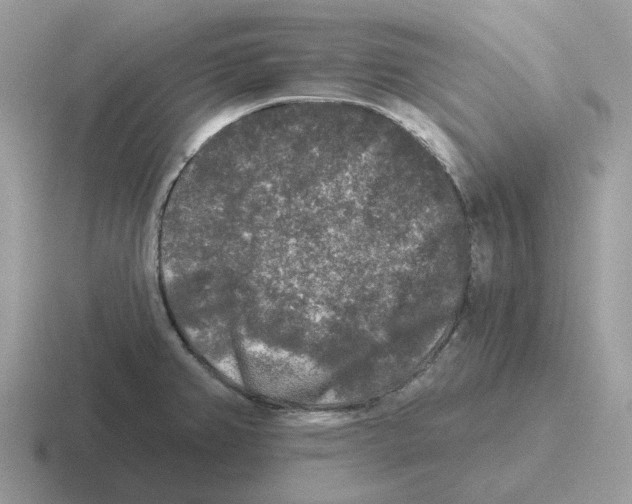 X0000116571382201001071146