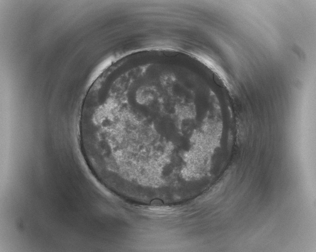 X0000116571383201001071146