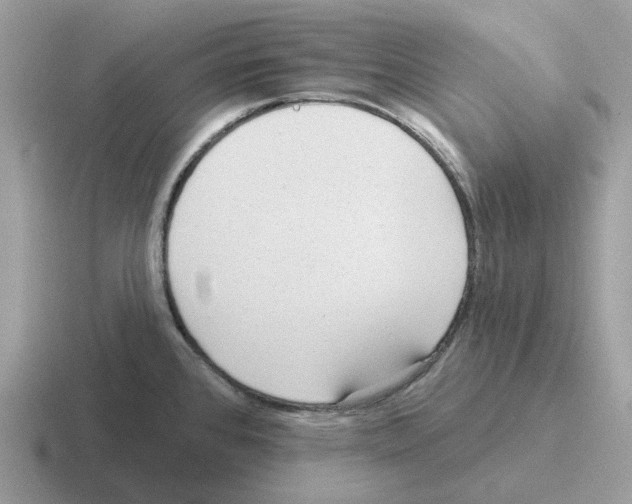 X0000116571384201001071146