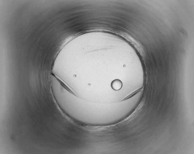 X0000116571385201001071146